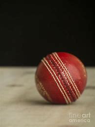 Image result for Red Cricket Ball