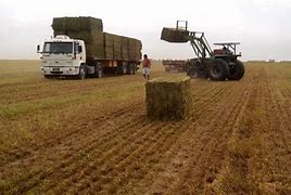 Image result for agriculfura