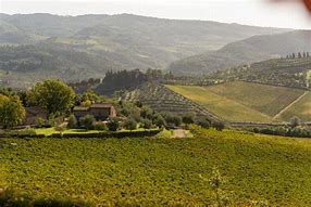 Image result for Vignamaggio Cabernet Franc Toscana