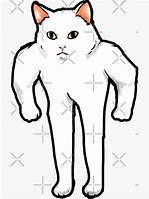 Image result for Buff Cat Cartoon