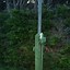 Image result for Antenna Tower for Home