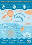 Image result for 7 Facts About Fish