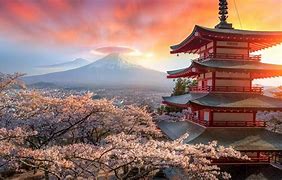 Image result for Tokyo Spring