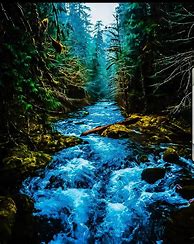 Image result for Beautiful Nature Wallpaper Zedge