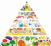 Image result for Protein Pyramid