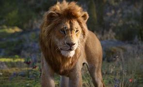 Image result for lion king 