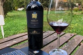 Image result for Benessere Merlot