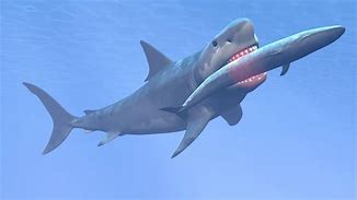 Image result for Giant Shark Megalodon