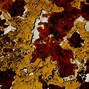 Image result for Rusty Red