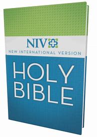 Image result for NIV Blue Bible