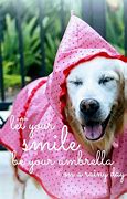 Image result for Rainy Day Picture Dog Clip Art