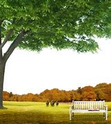 Image result for Free Desktop Wallpaper Summer Landscapes