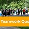 Image result for Quotes About Teamwork