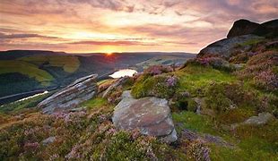 Image result for Brecon Beacons Snake