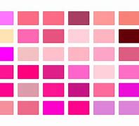 Image result for Pink Color P