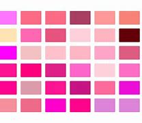 Image result for Pink Color Pics