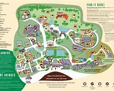 Image result for Small Zoo Layout