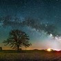 Image result for What a Camera Looks Like at Night On Tree