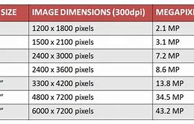 Image result for 10 vs 100 Megapixel Camera