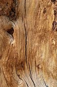 Image result for Old Wood Texture Fall