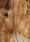 Image result for Wooden Grain