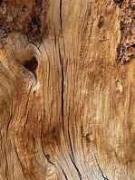 Image result for Vertical Wood Grain Texture