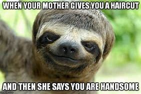 Image result for Sid the Sloth with Curly Hair Meme