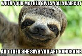 Image result for Week Sloth Meme