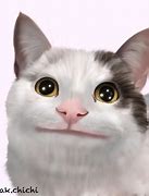 Image result for Polite Cat Know Your Meme