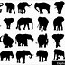 Image result for Elephant Cartoon Animals