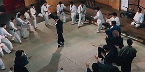 Image result for Types of Kung Fu Styles