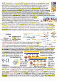 Image result for Acellus Biology Cheat Sheet