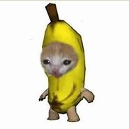 Image result for Banana Cat Baby Meme