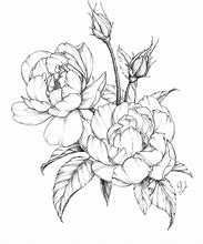 Image result for Big Flower Sketch