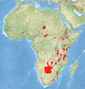 Image result for African Wild Dog Habitat Map