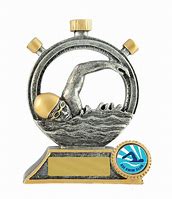 Image result for Swimming Trophies
