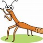 Image result for Stick Insect Outline