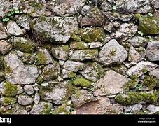 Image result for Stone Wall Texture with Moss
