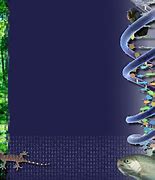 Image result for Pics of DNA Wallpaper