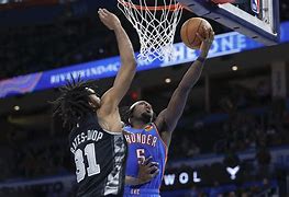 Image result for NBA Champoins