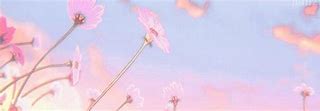 Image result for Banner Aesthetic Pastel