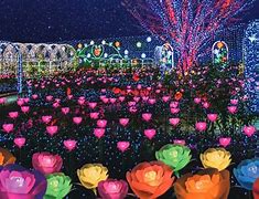 Image result for Japanese Garden Lights