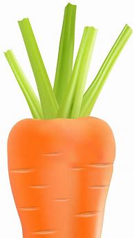 Image result for Carrot ClipArt