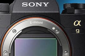 Image result for Sony A9ii