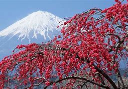Image result for Japan Nature Wallpaper 4K