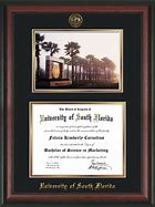 Image result for University of Florida Diploma Frame