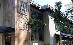 Image result for alqiicel