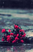 Image result for Flowers in Rain iPhone Wallpaper