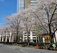 Image result for Akasaka Tokyo