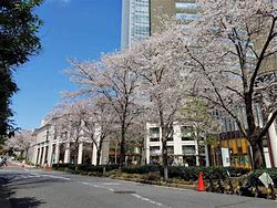 Image result for Akasaka District Tokyo